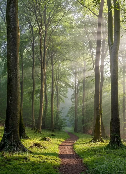 Crveno svetlo 630nm – značaj za <br />
regeneraciju i kvalitet života