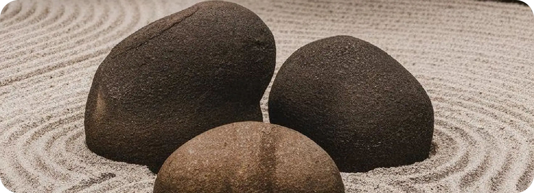 rehuba-tehnologija-1